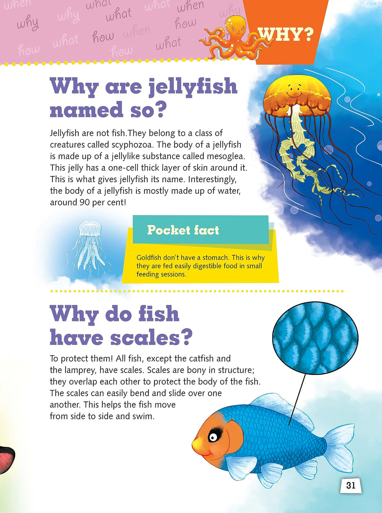 Encyclopedia: My Encyclopedia of Animals - What? Why? How? When? - Encyclopedia books for Children - Retail Maharaj