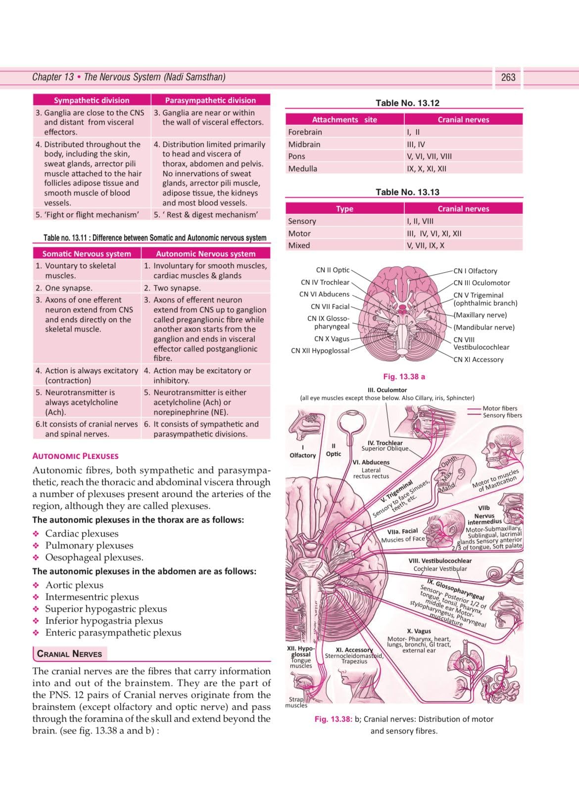 Illustrated Textbook of Rachna Sharir (Vol-1) (सचित्र रचना शारीर) Modern and Ayurveda anatomy with Clinical & Applied aspects based on new NCISM curriculum for BAMS 1st Professional - Retail Maharaj