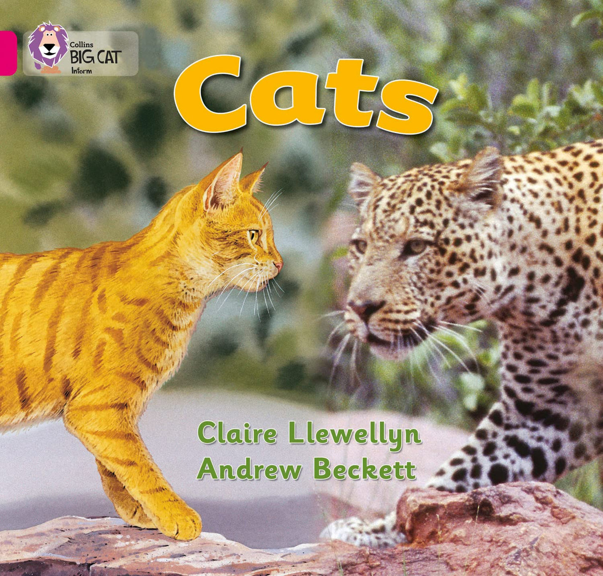 Cats: Band 01b/Pink B (Collins Big Cat) - Retail Maharaj