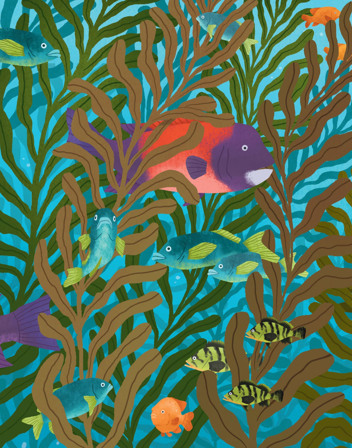 Big Questions Answered: Could We Survive Without Seaweed? Phycology - Retail Maharaj