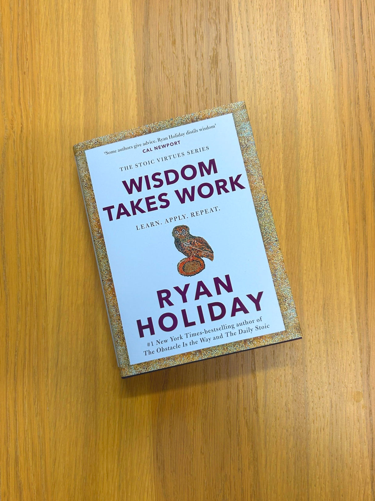 WISDOM TAKES WORK: THE INSTANT NEW YORK TIMES BESTSELLER from the author of THE DAILY STOIC - Retail Maharaj