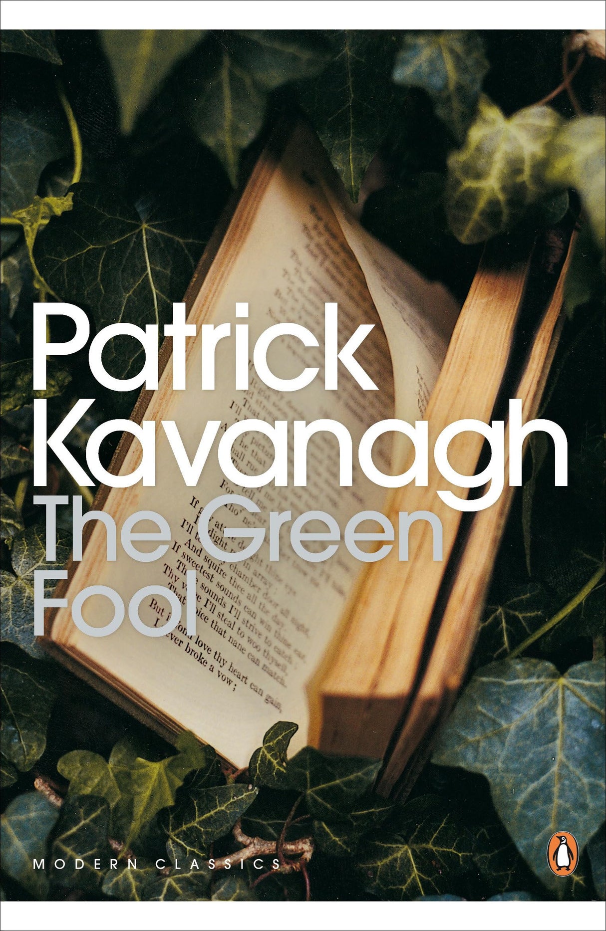 The Green Fool (Penguin Modern Classics) - Retail Maharaj