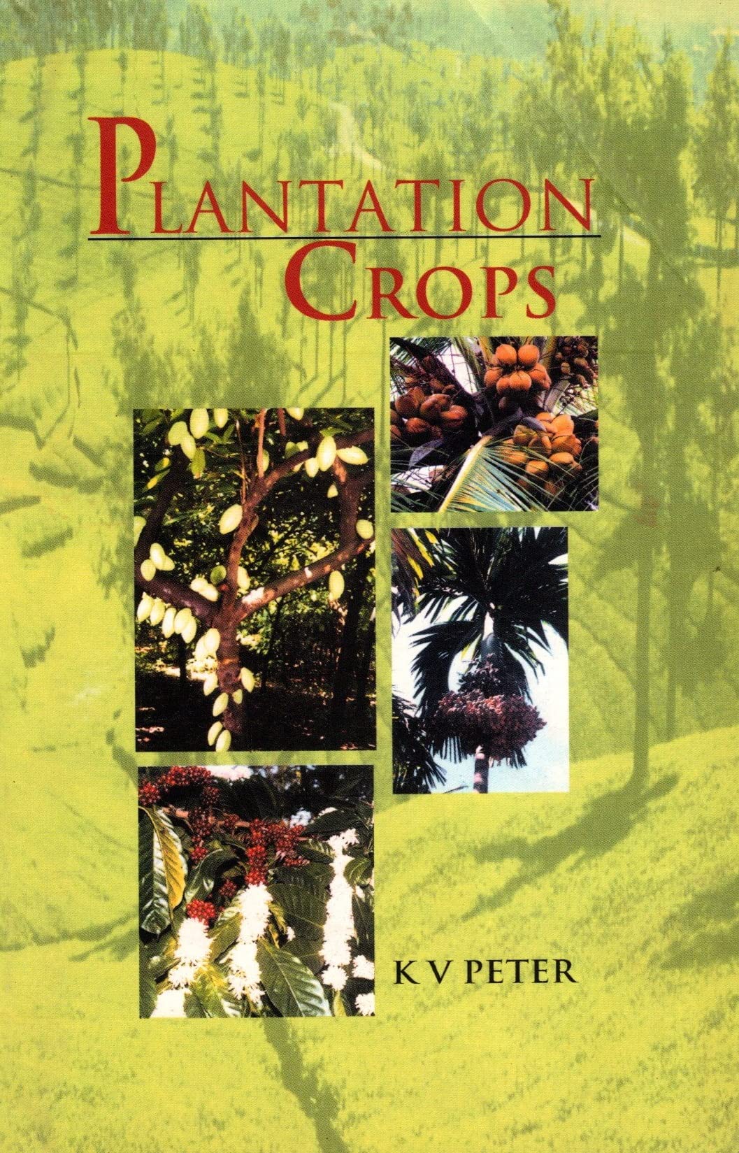 Plantation Crops