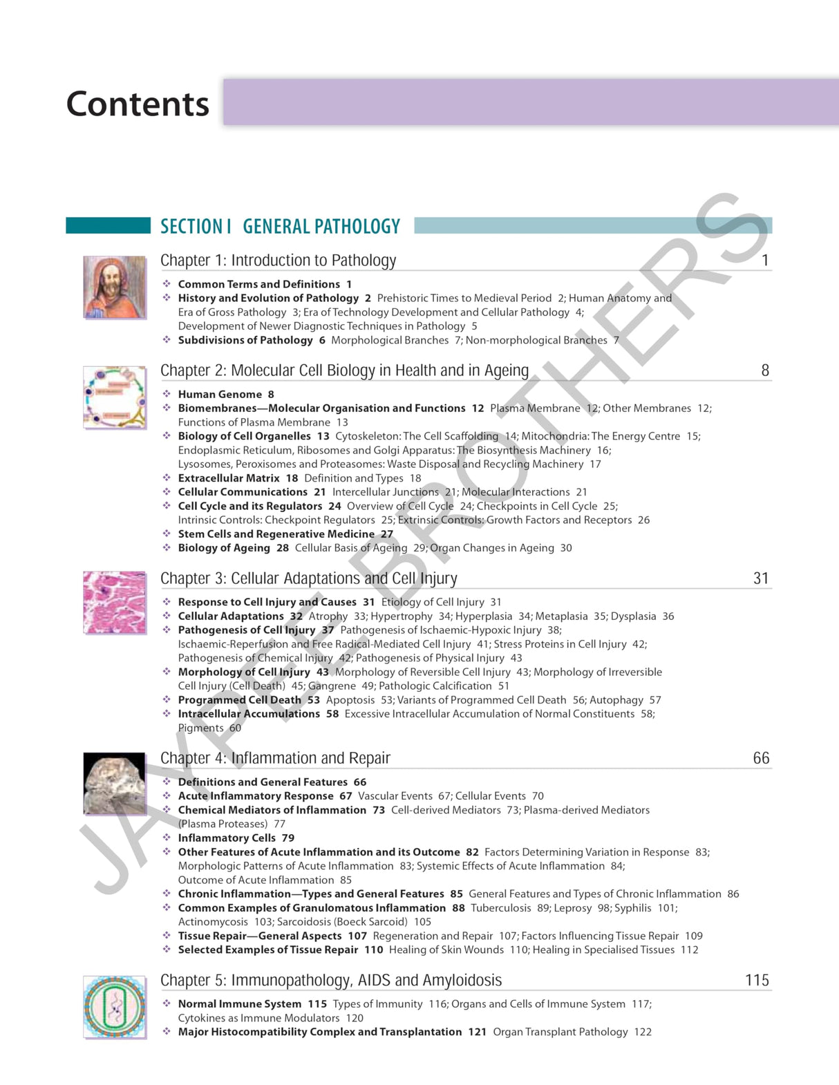 TEXTBOOK OF PATHOLOGY (FREE PATHOLOGY QUICK REVIEW) - Retail Maharaj