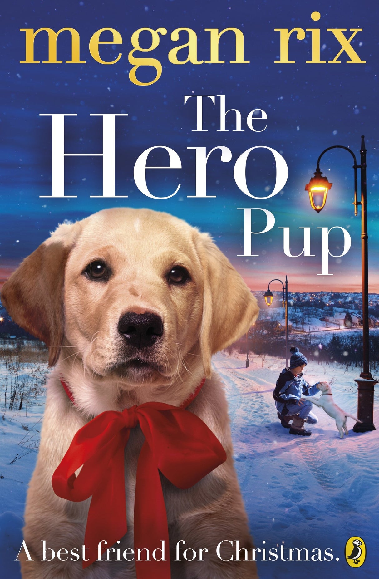 THE HERO PUP - Retail Maharaj