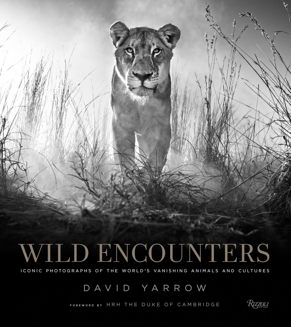 Wild Encounters: Iconic Photographs of the World's Vanishing Animals and Cultures - Retail Maharaj
