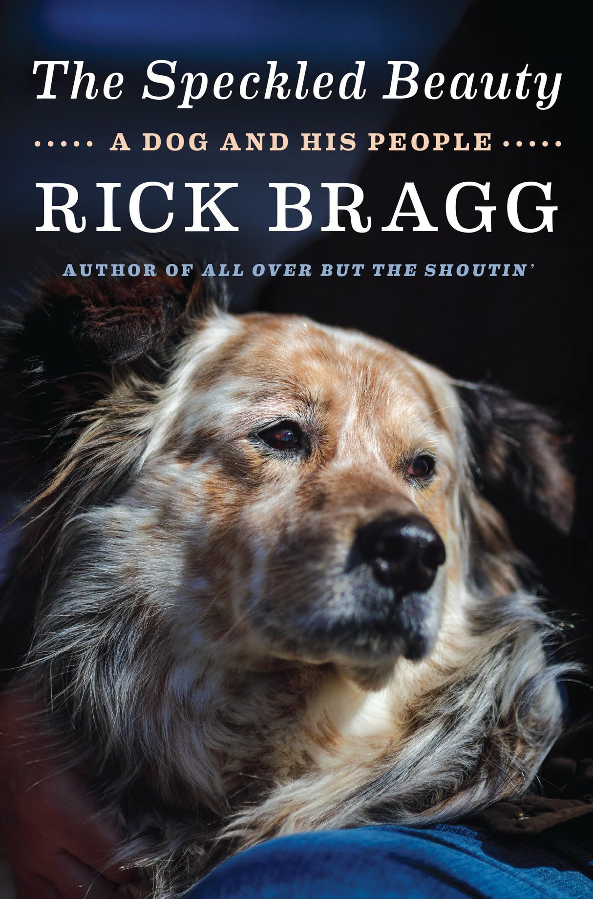 The Speckled Beauty: A Dog and His People - Retail Maharaj