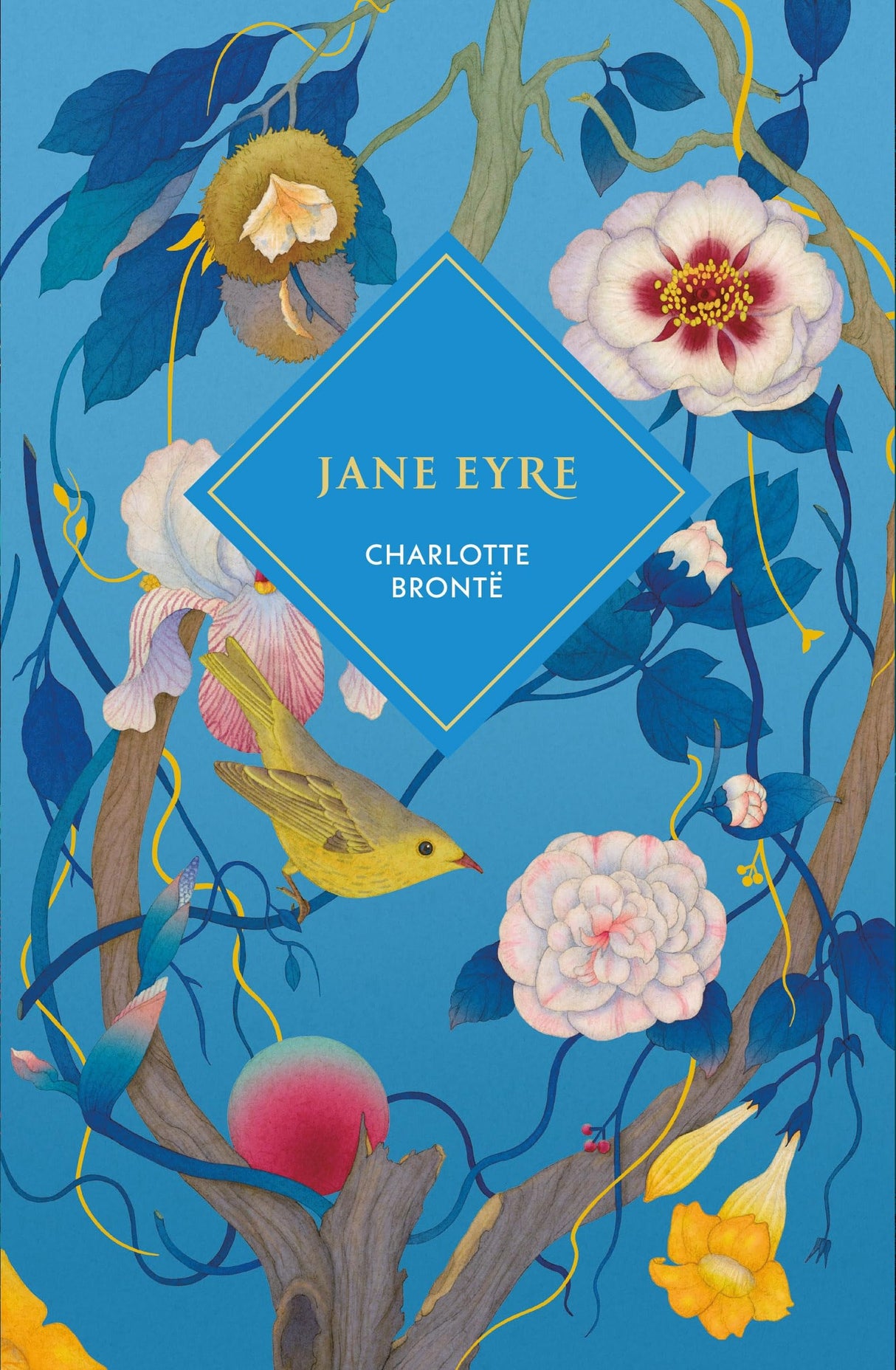 Jane Eyre (Vintage Collector's Classics) - Retail Maharaj