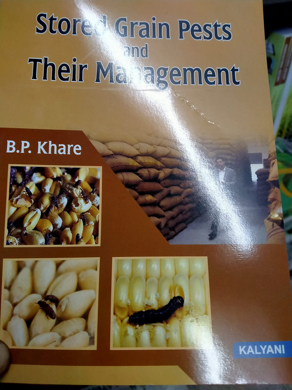 Stored Grain Pests And Their Management