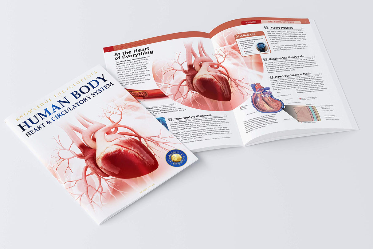 Human Body - Heart And Circulatory System: Knowledge Encyclopedia For Children - Retail Maharaj