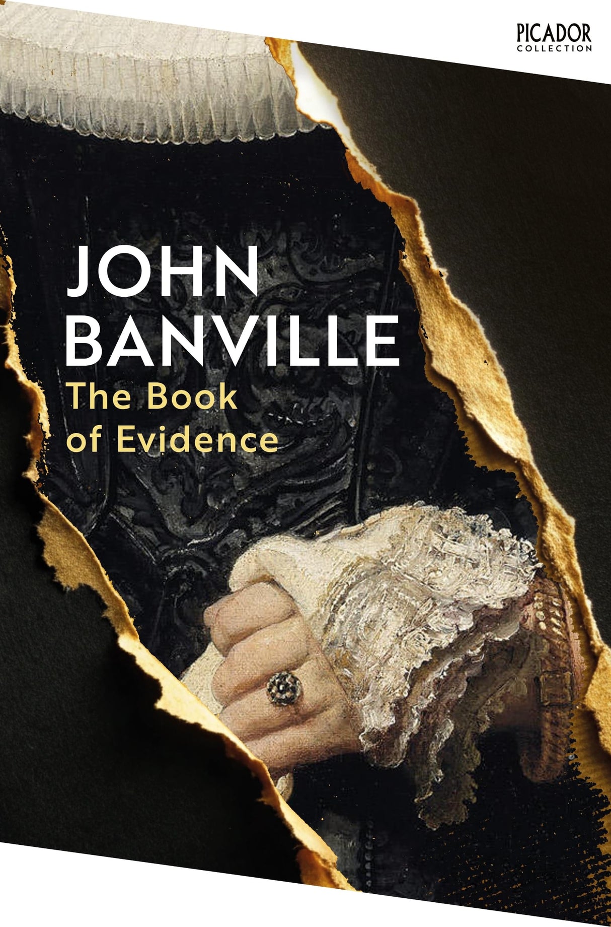 The Book of Evidence (Picador Collection) - Retail Maharaj