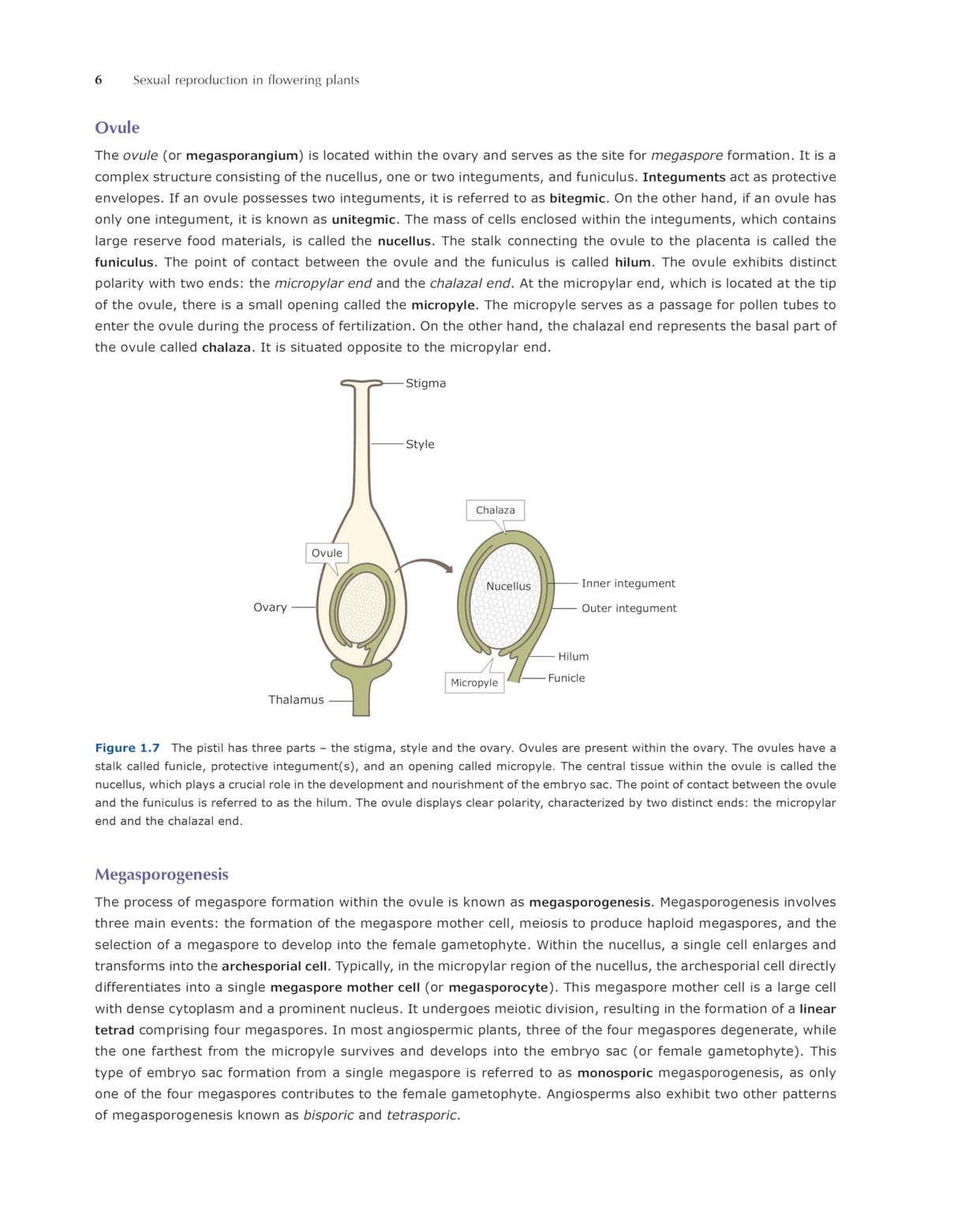 Pathfinder's NCERT Biology Book for Class 12: Comprehensive Guide for NEET, CUET (UG) Biology, and Class 12 Board | Latest NCERT Pattern, Simplified Language, Detailed Theory, and MCQs - Retail Maharaj