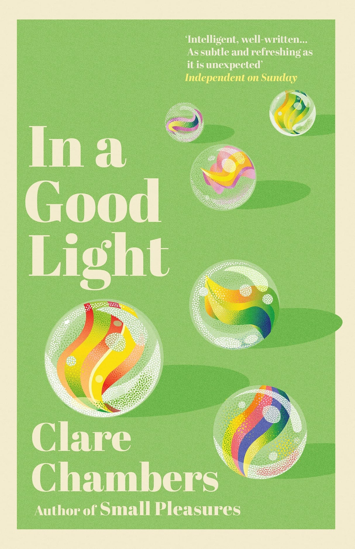 In A Good Light: A captivating romance from the bestselling author of Small Pleasures - Retail Maharaj