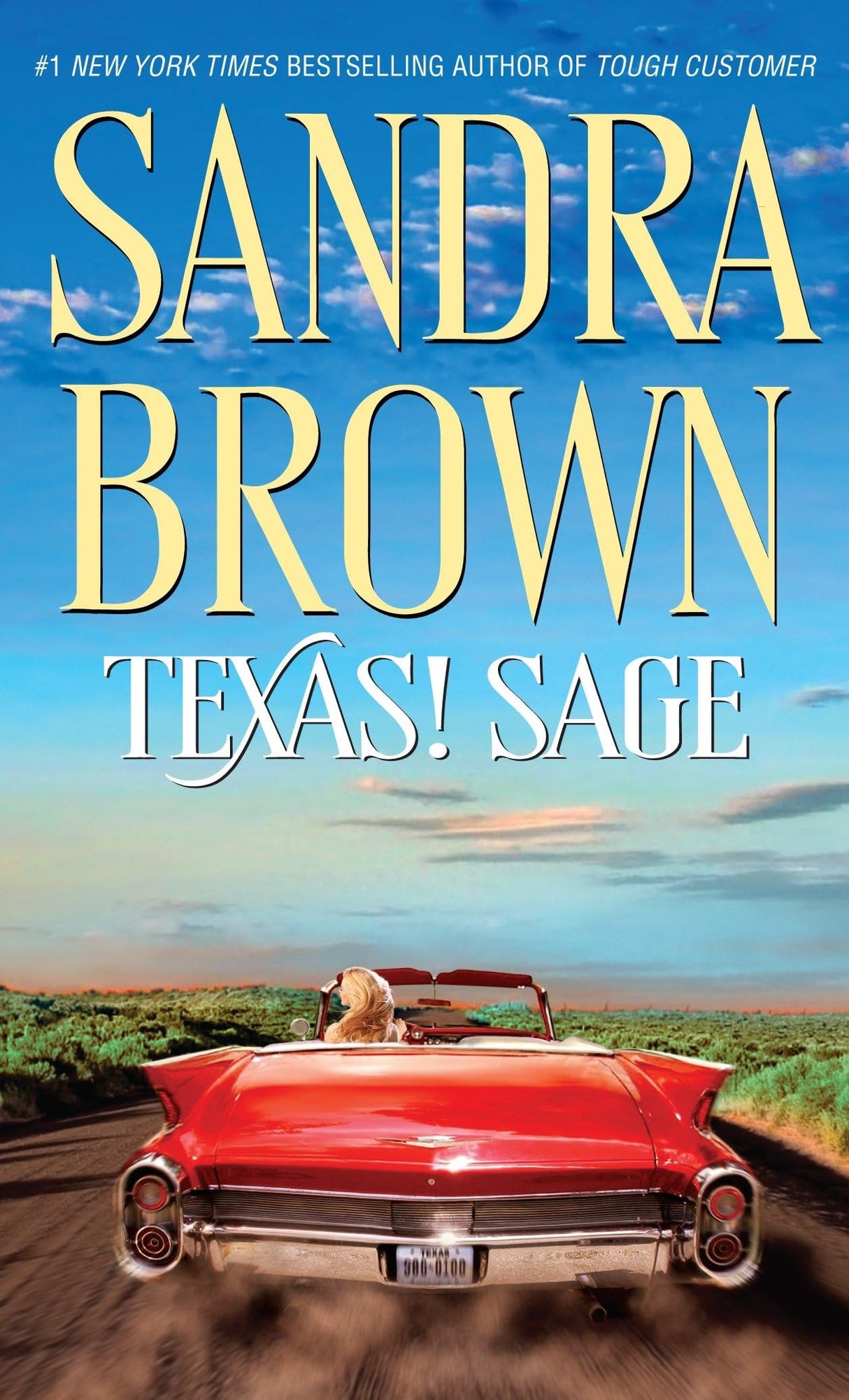 Texas! Sage: A Novel - Retail Maharaj