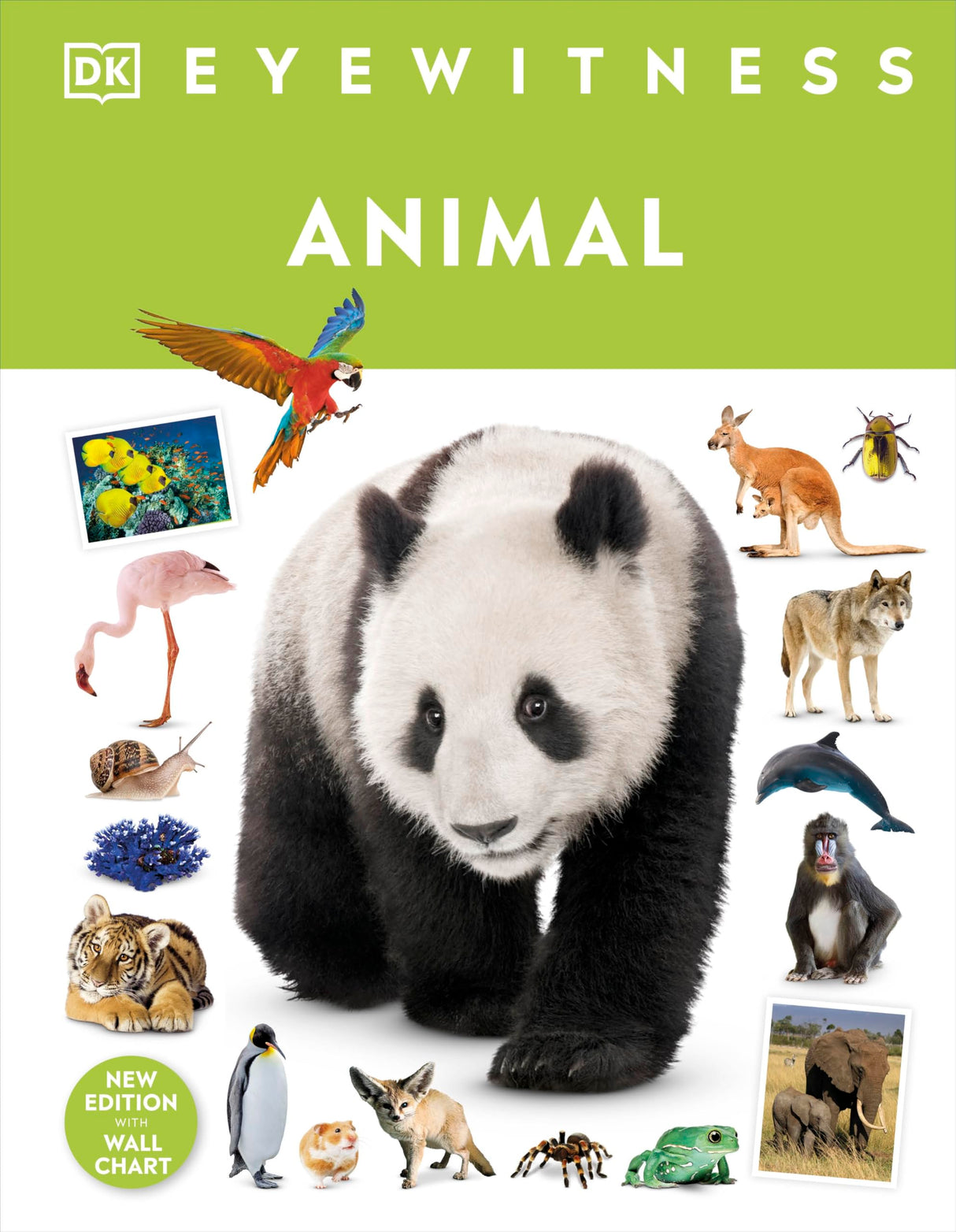 Animal - Retail Maharaj