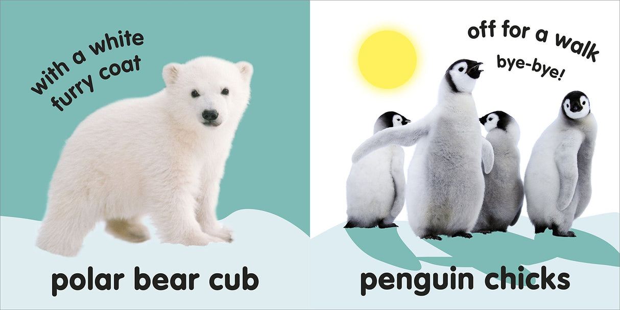 Baby Touch and Feel Fluffy Animals - Retail Maharaj