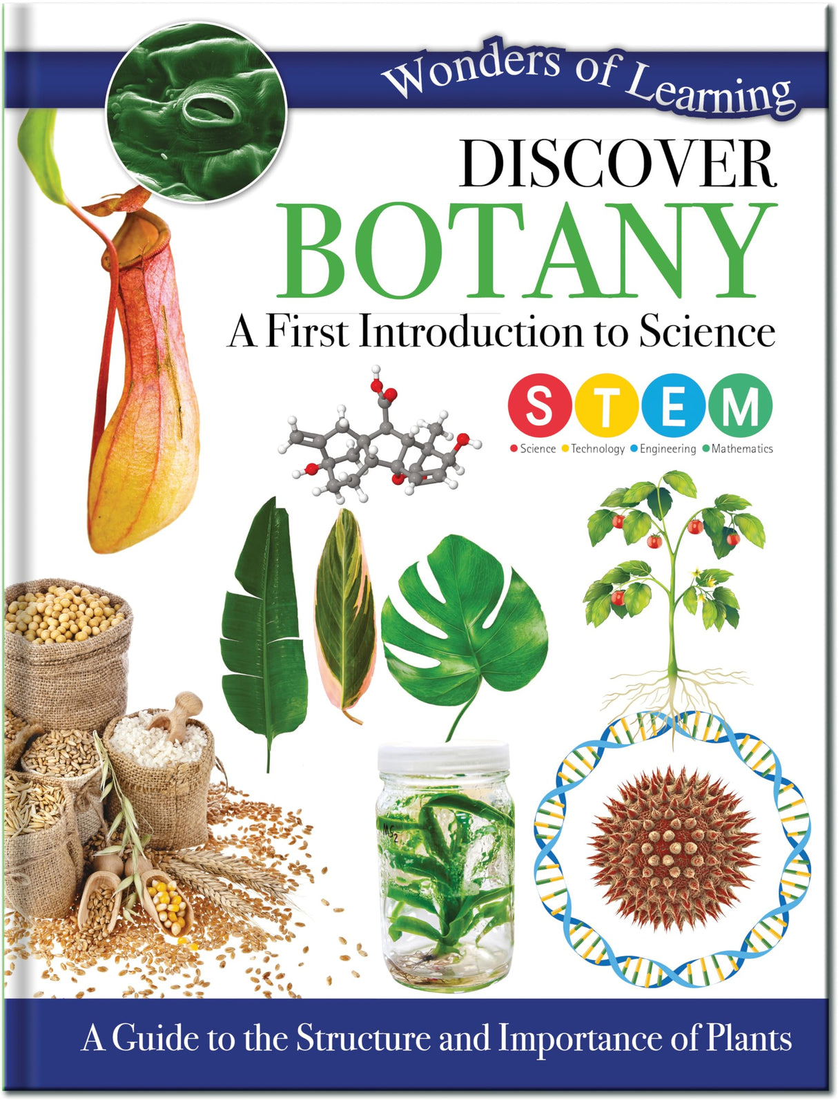 BOTANY - Retail Maharaj