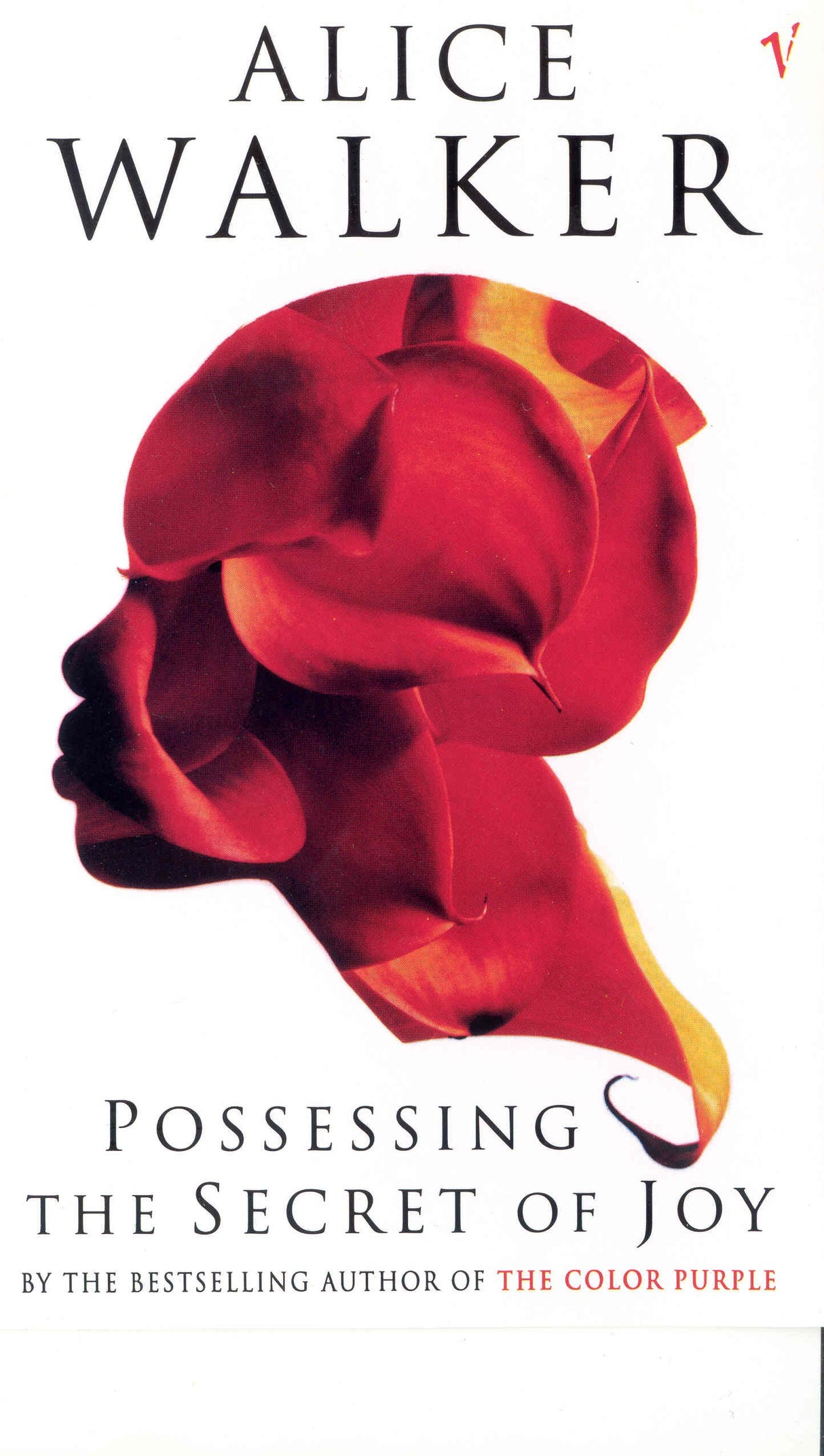 Possessing The Secret Of Joy - Retail Maharaj