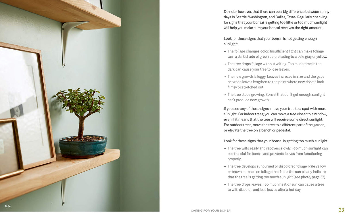 The Little Book of Bonsai: An Easy Guide to Caring for Your Bonsai Tree - Retail Maharaj