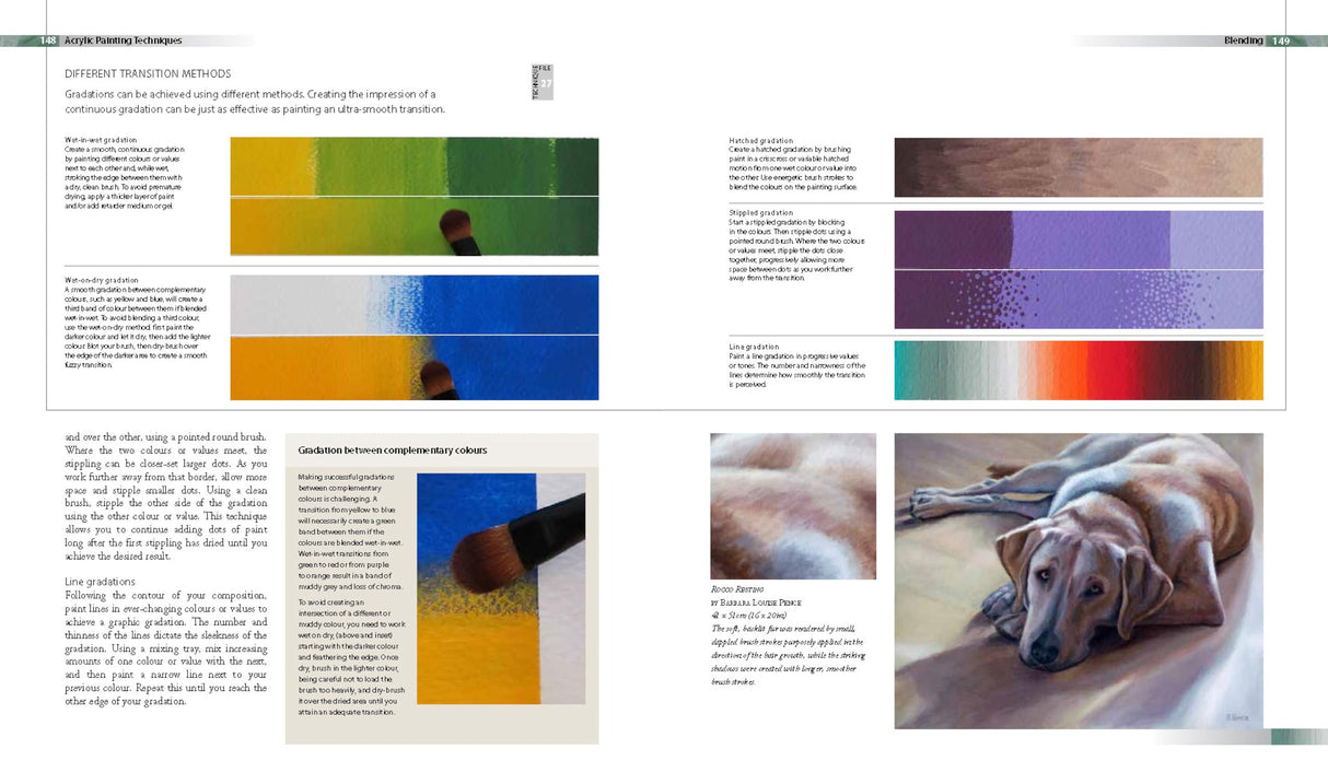Complete Guide to Acrylics: All the Essential Techniques and Skills You Need - Retail Maharaj