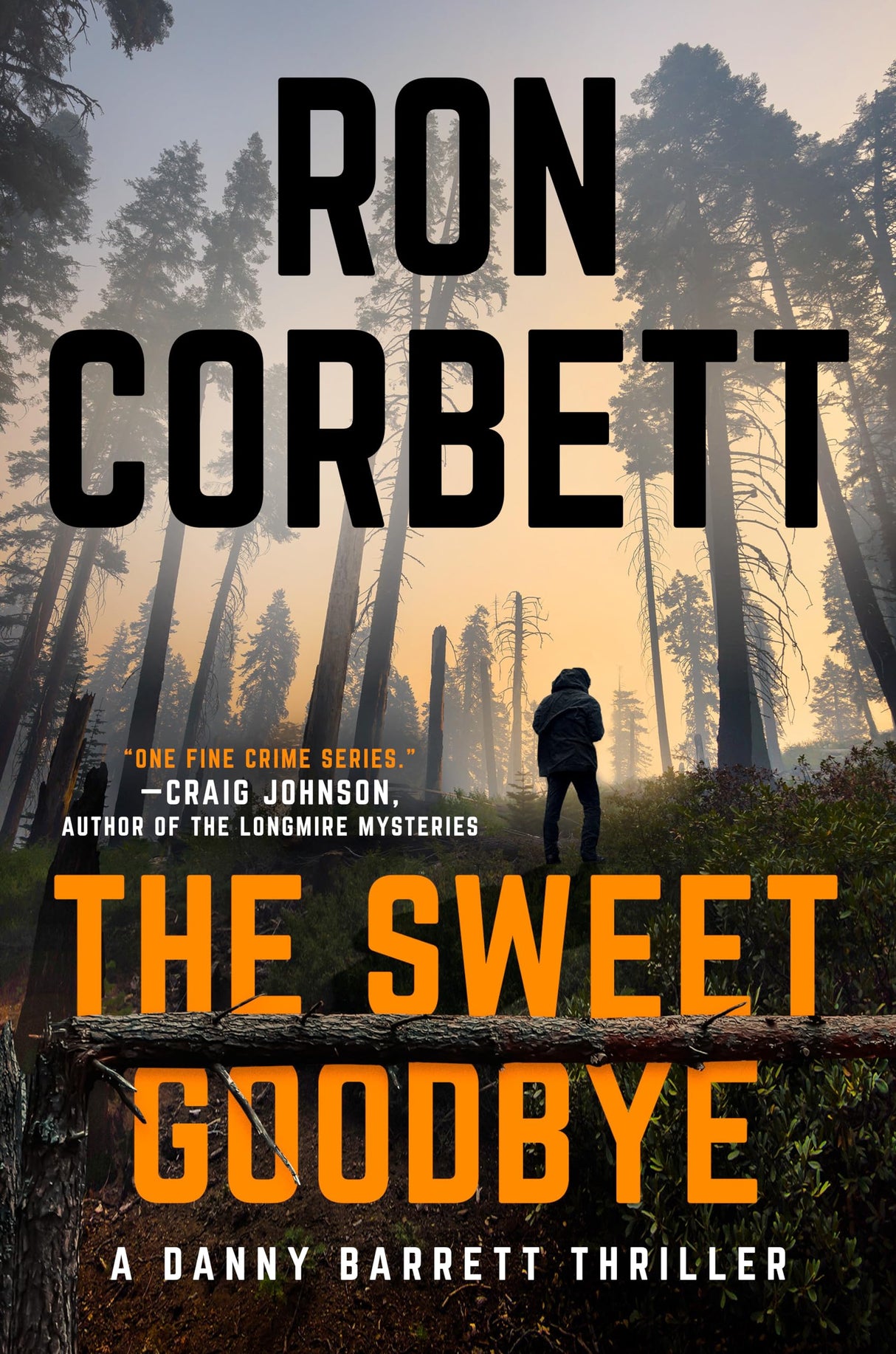The Sweet Goodbye: 1 (A Danny Barrett Novel) - Retail Maharaj