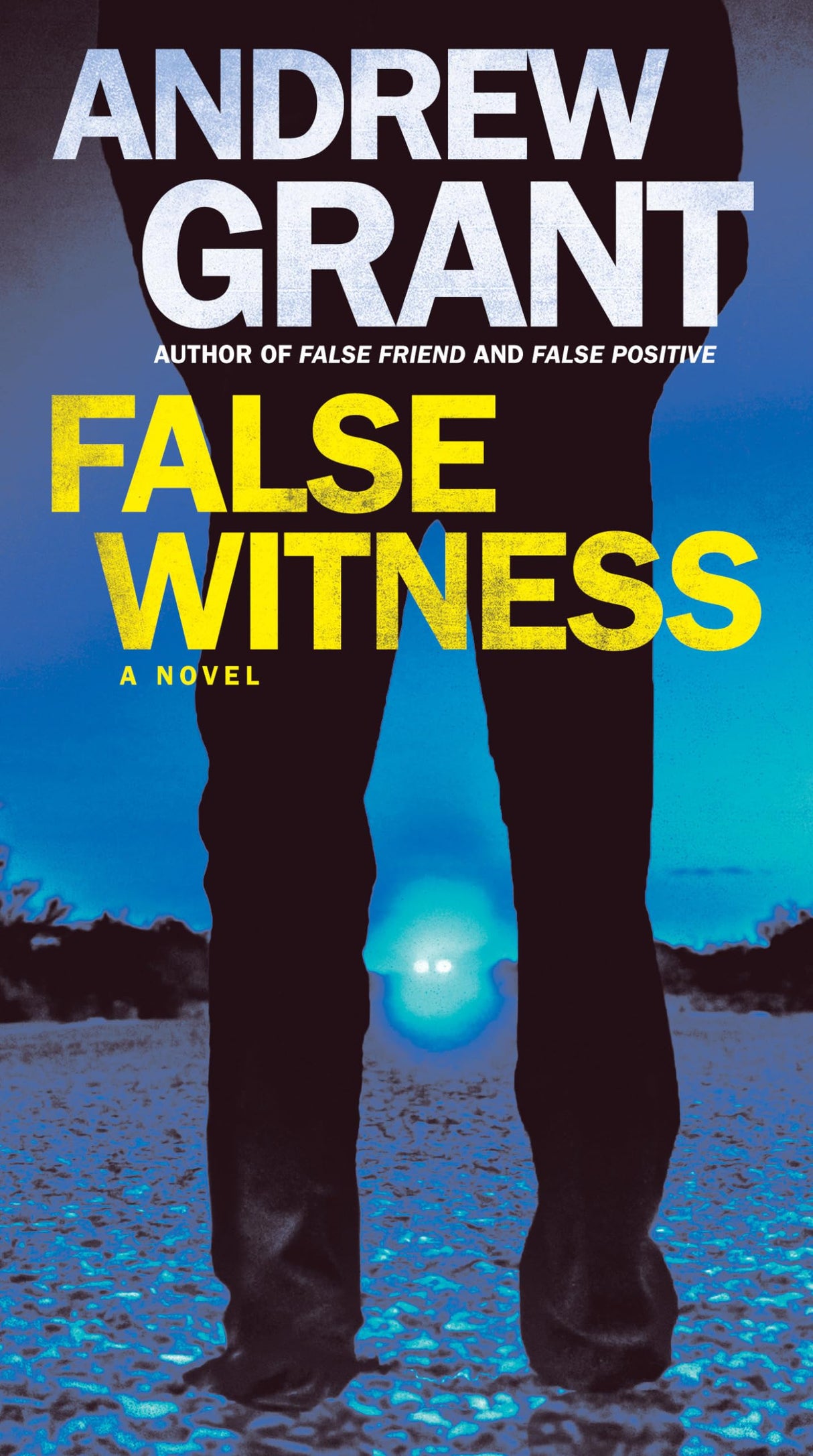 False Witness: A Novel: 3 (Detective Cooper Devereaux) - Retail Maharaj
