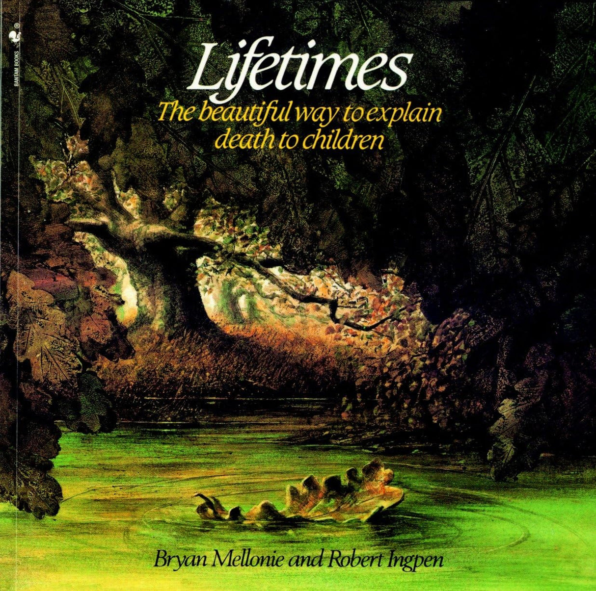 Lifetimes: The Beautiful Way to Explain Death to Children - Retail Maharaj