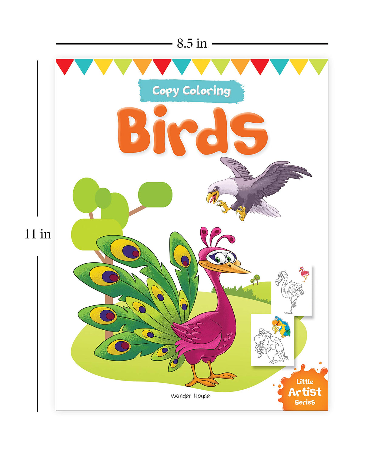 Little Artist Series Birds: Copy Colour Books - Retail Maharaj