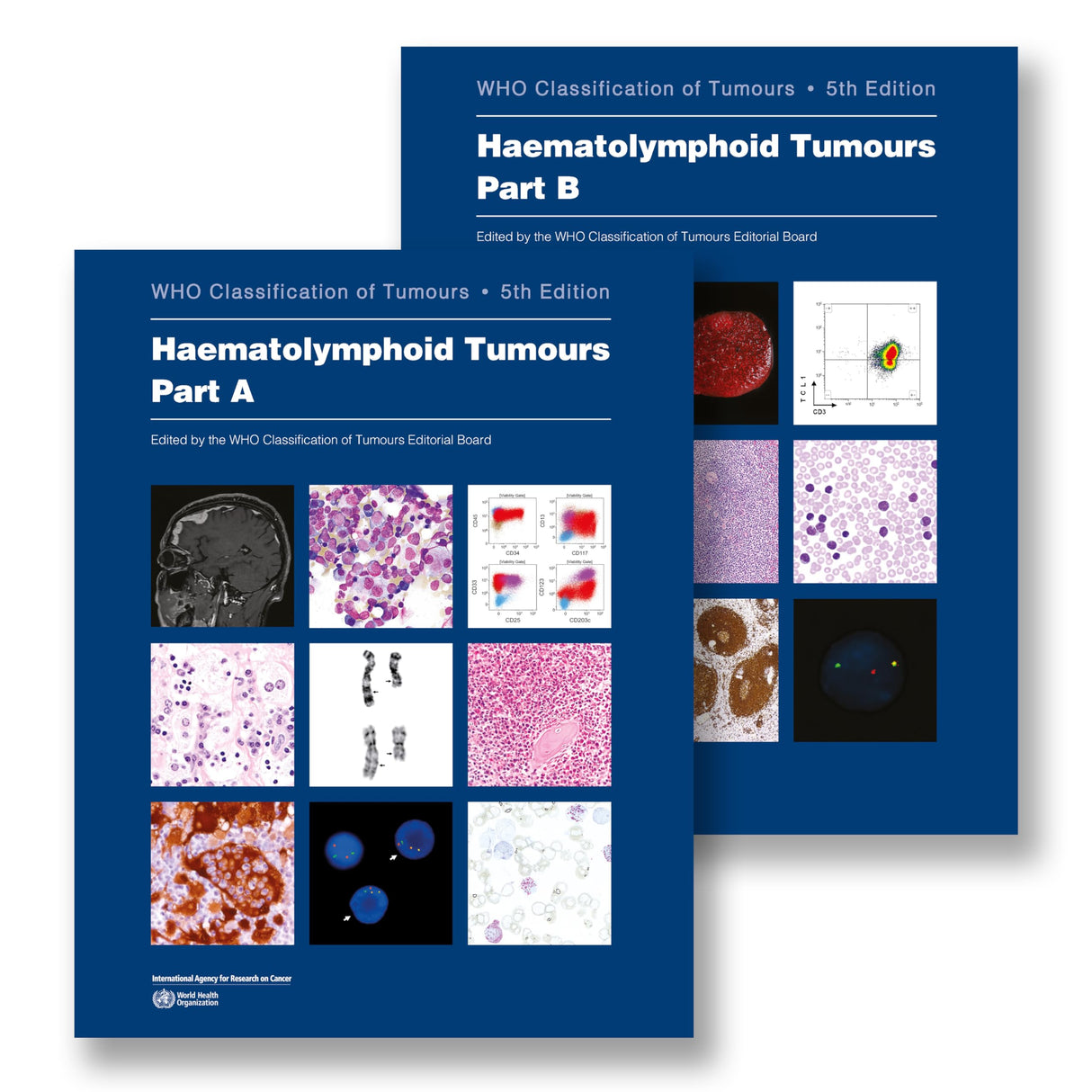 Haematolymphoid Tumours: Who Classification of Tumours - Retail Maharaj
