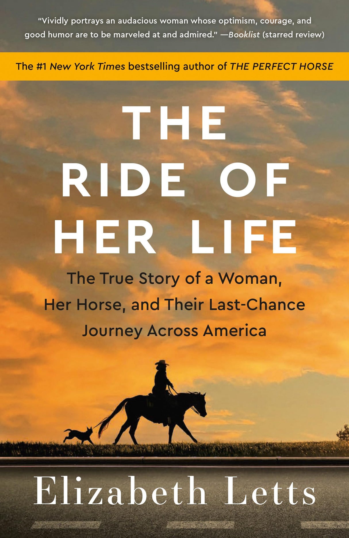 The Ride of Her Life: The True Story of a Woman, Her Horse, and Their Last-Chance Journey Across America - Retail Maharaj