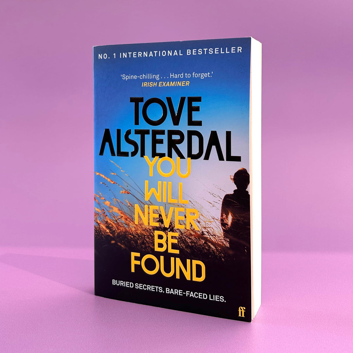 You Will Never Be Found: The No. 1 International Bestseller - Retail Maharaj