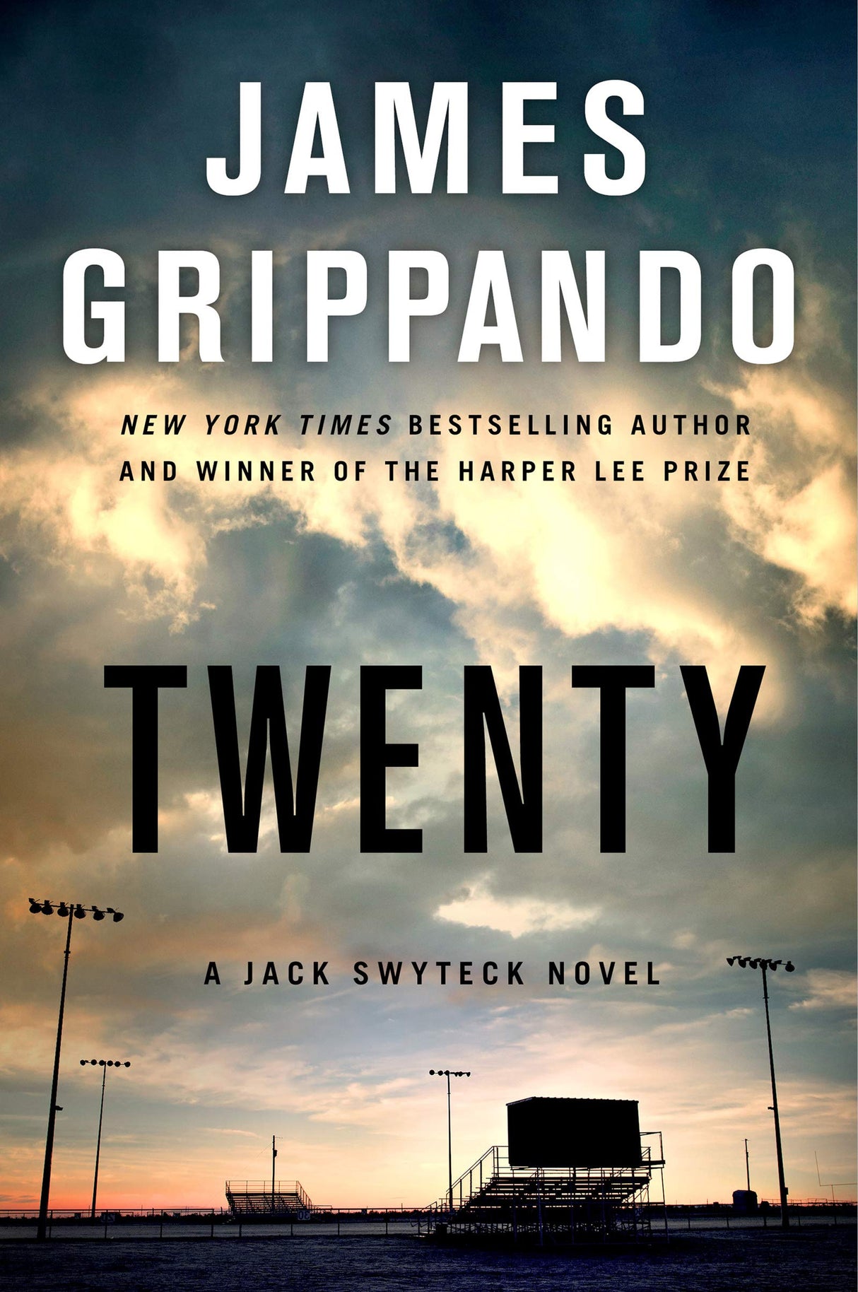 Twenty: A Jack Swyteck Novel: 17 - Retail Maharaj