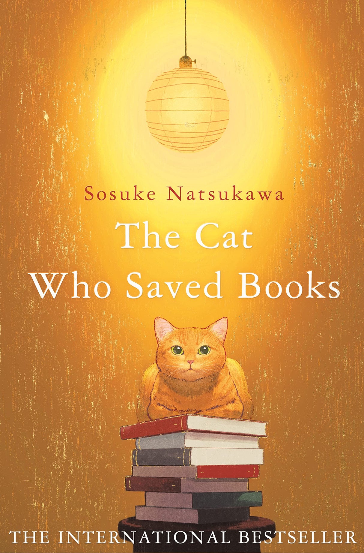 The Cat Who Saved Books - Retail Maharaj
