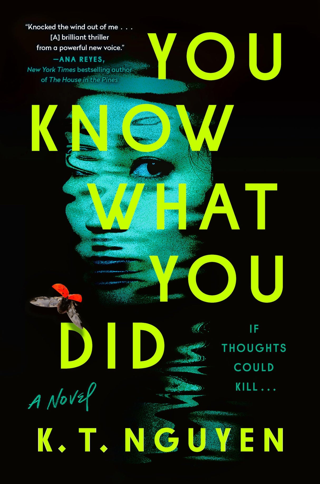 You Know What You Did: A Novel - Retail Maharaj