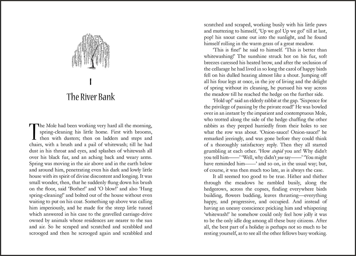 The Wind In The Willows - Retail Maharaj