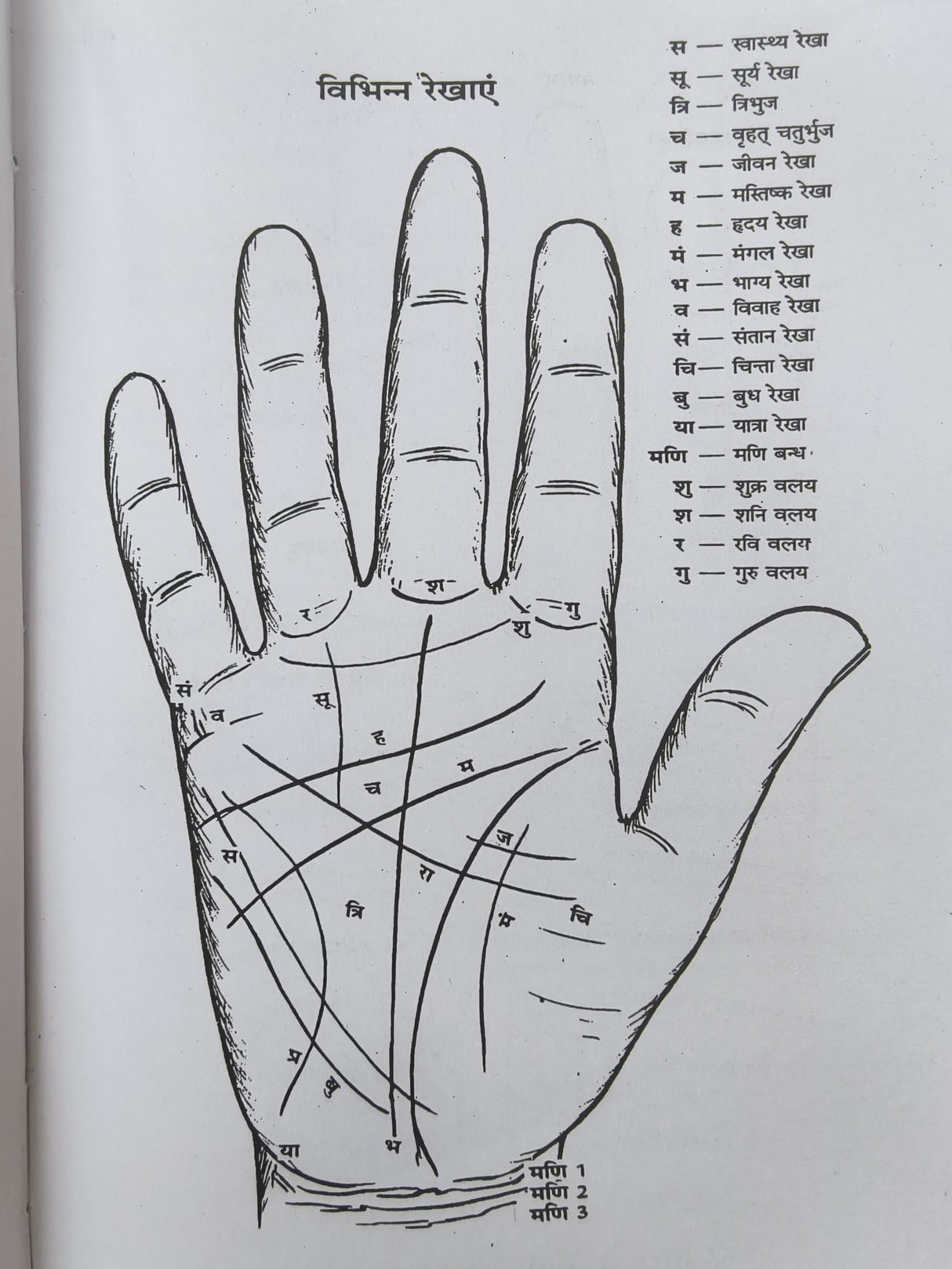 Medical Palmistry / हस्तरेखाओं से रोग की पहचान By Gopal Raju - Retail Maharaj