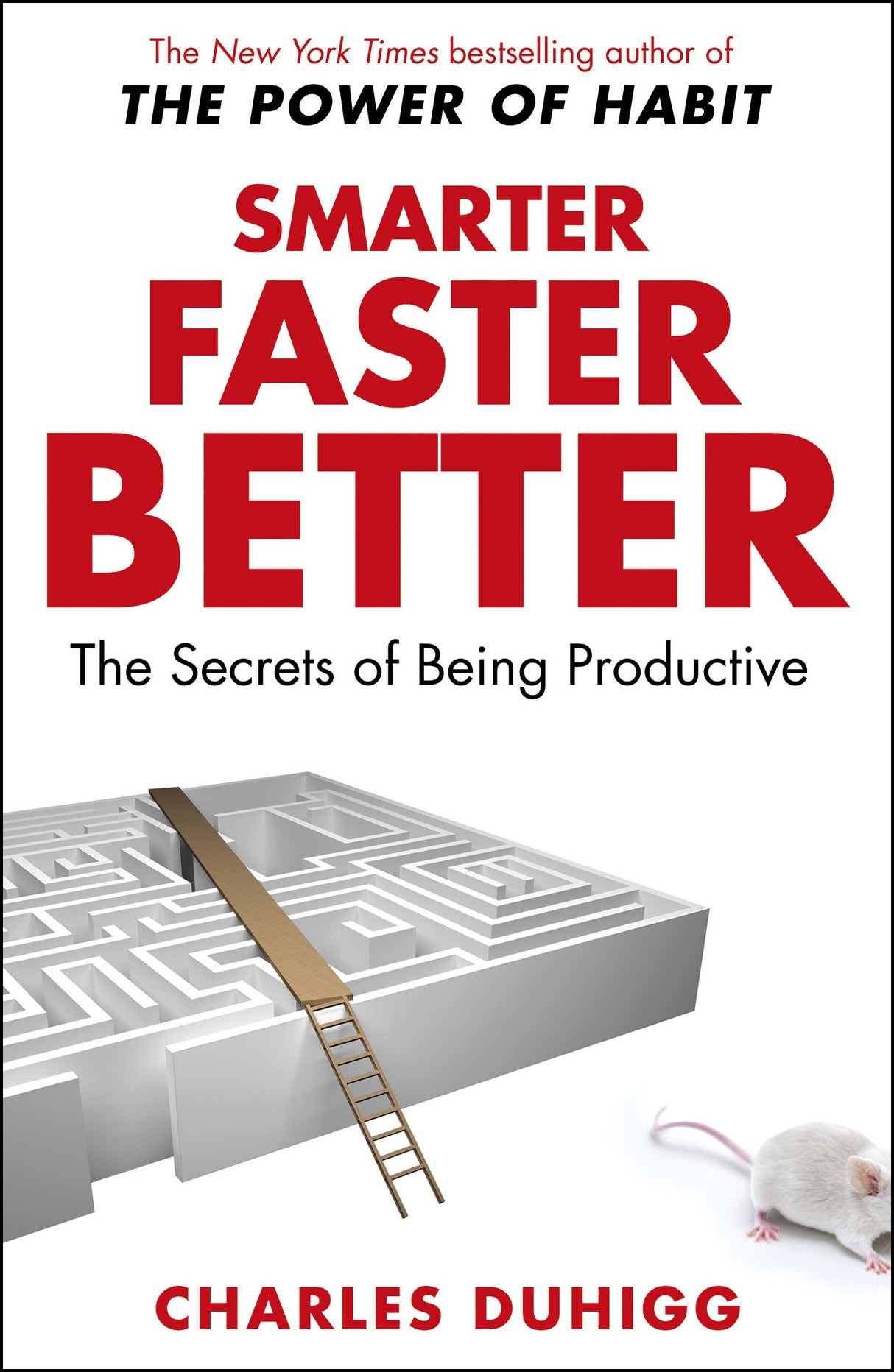 Smarter Faster Better: The Secrets of Being Productive - Retail Maharaj