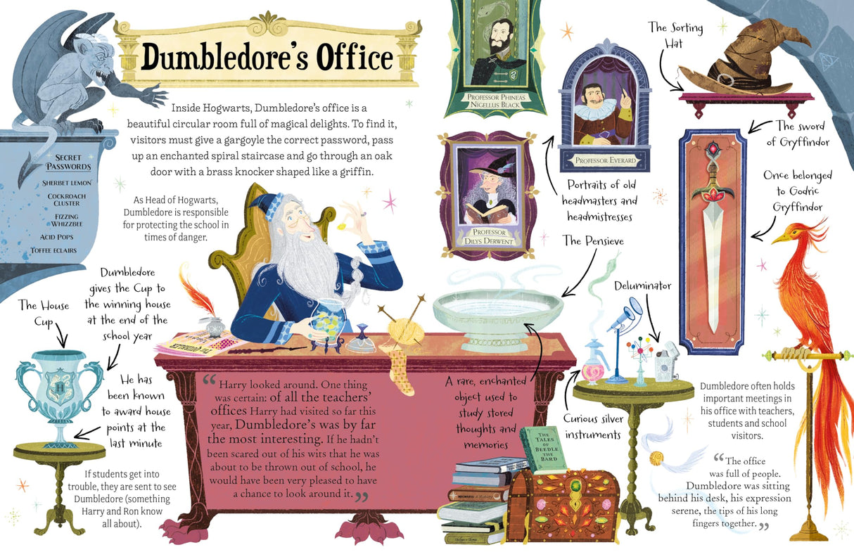 Professor Dumbledore (Pocket Potters – Little Guides to the HARRY POTTER Stories) - Retail Maharaj