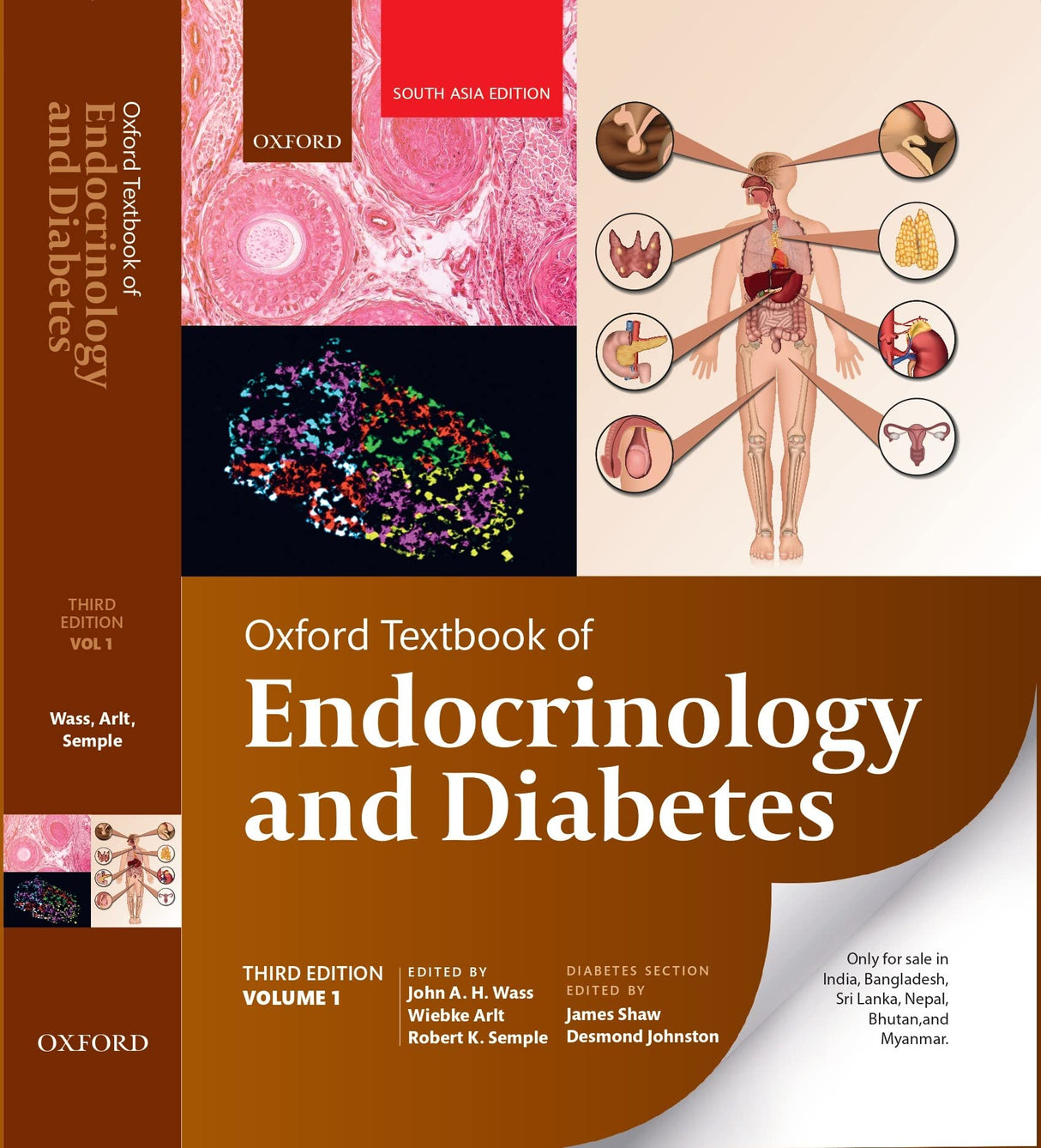 OXFORD TEXTBOOK OF ENDOCRINOLOGY AND DIABETES 2 VOL SET 3ED (SAE) (HB 2022) - Retail Maharaj