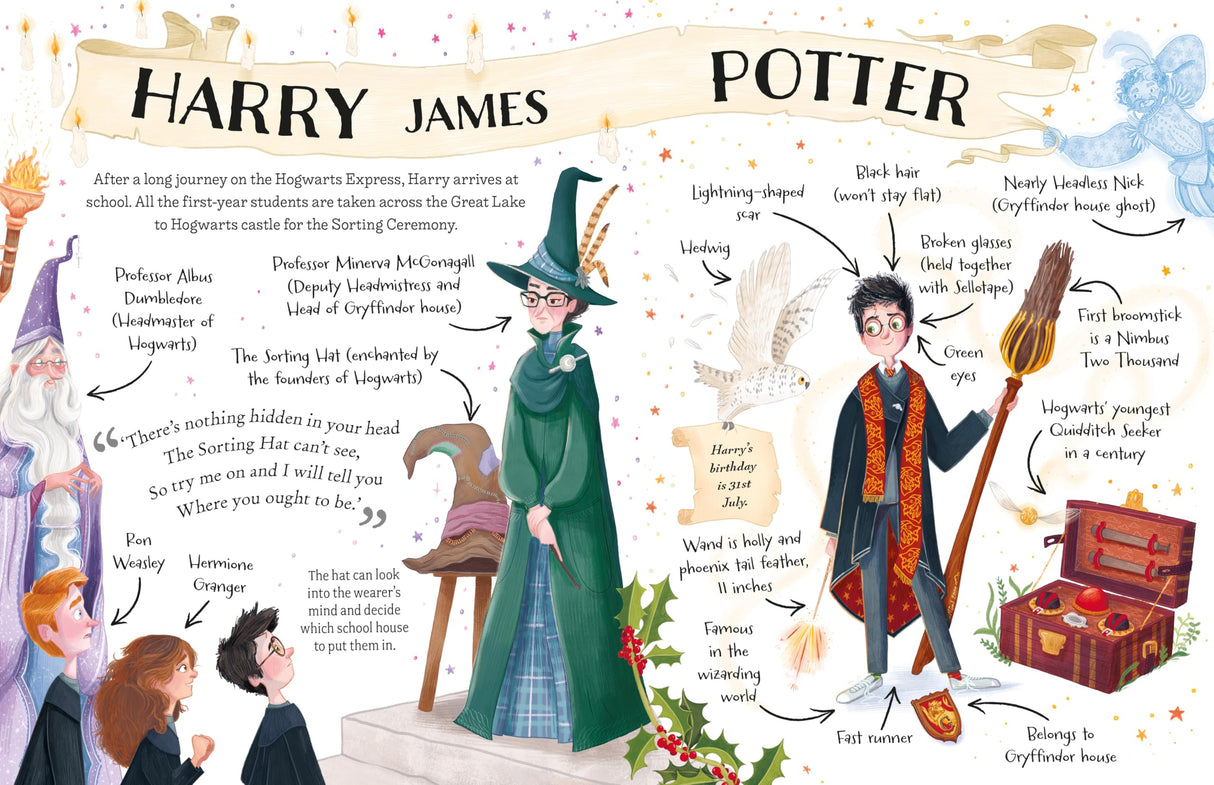 Harry Potter: The must-have Christmas stocking filler for Potter fans! (Pocket Potters – Little Guides to the HARRY POTTER Stories) - Retail Maharaj