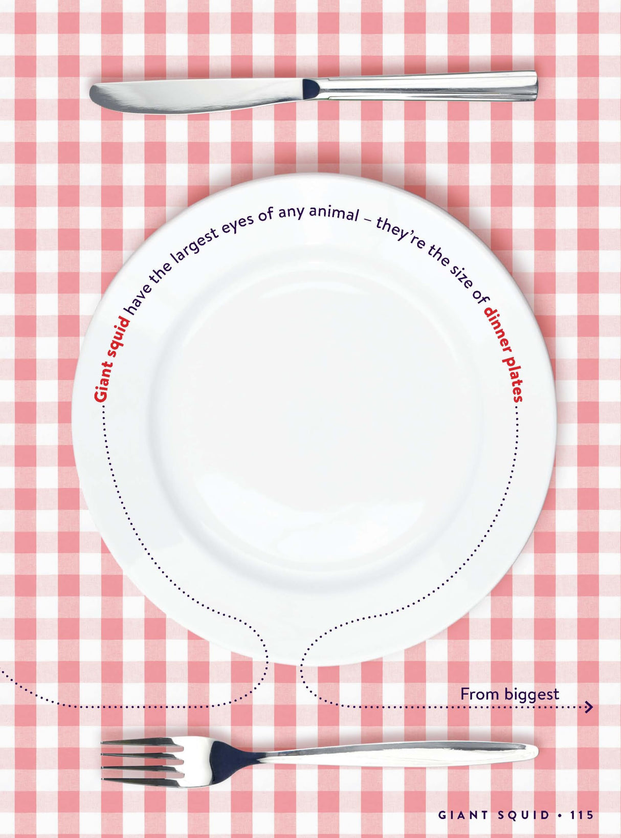 Factopia! - Retail Maharaj