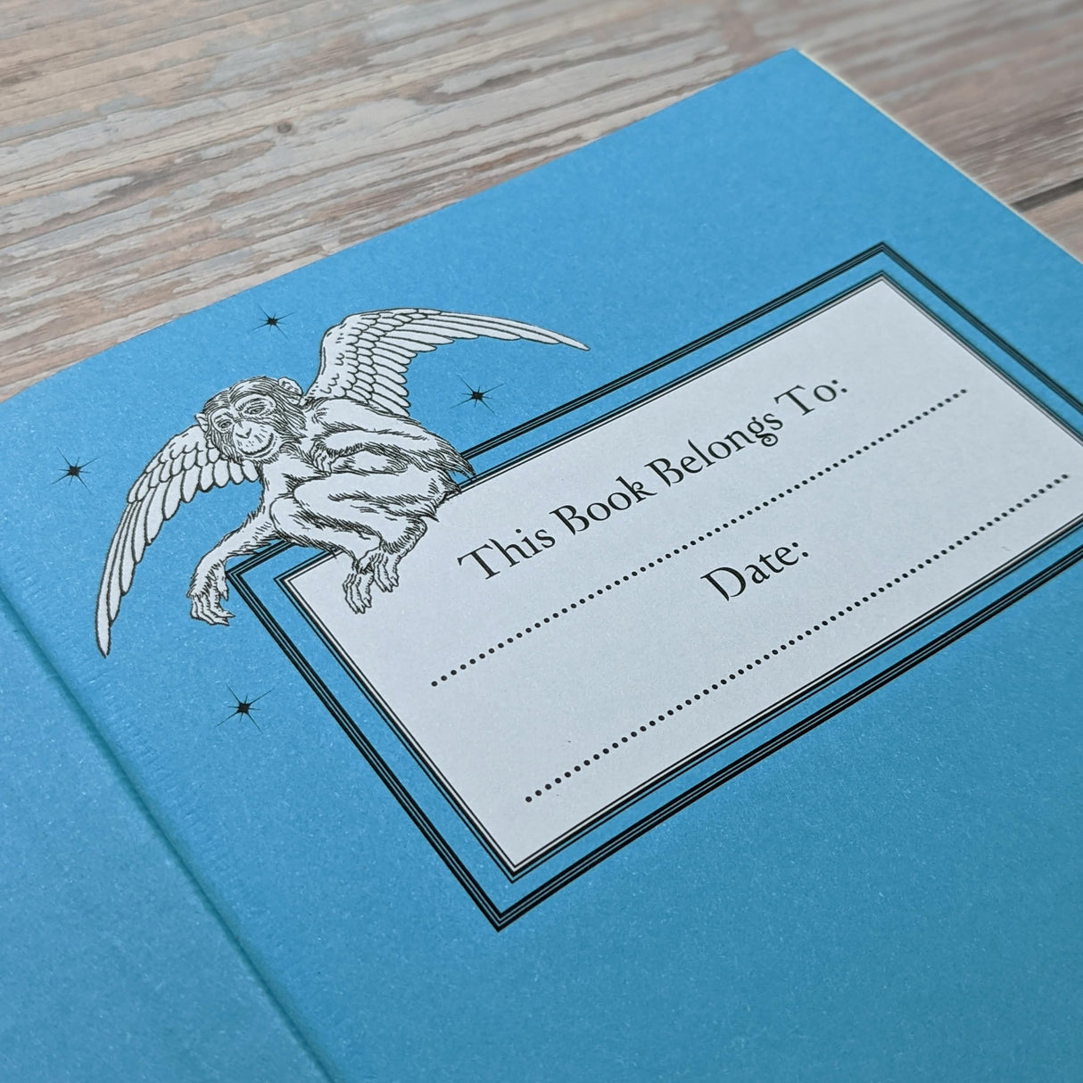The Wizard of Oz (Bath Treasury of Children's Classics) - Retail Maharaj