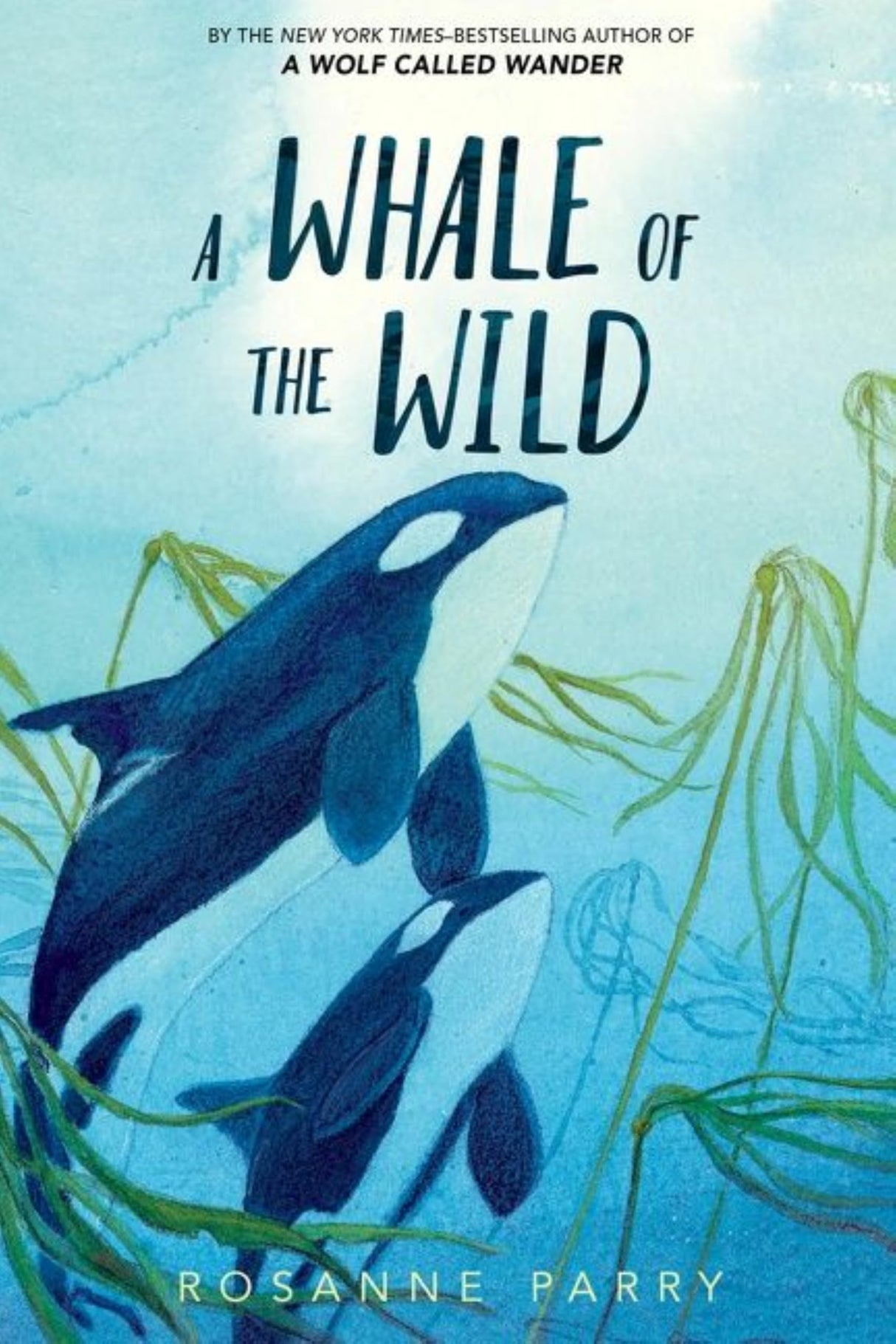 A Whale of the Wild - Retail Maharaj