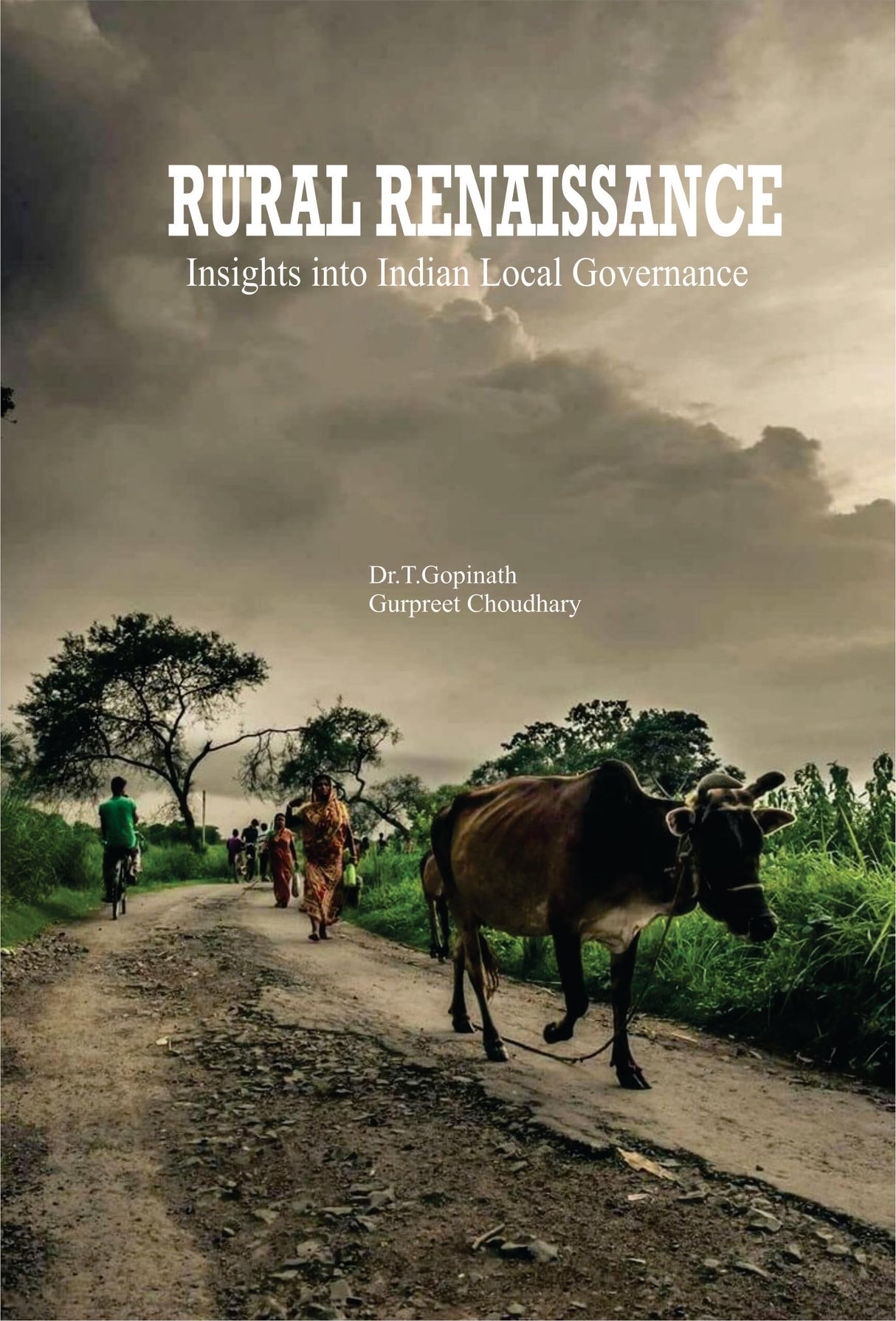Rural Renaissance Insights into Indian Local Governance - Retail Maharaj