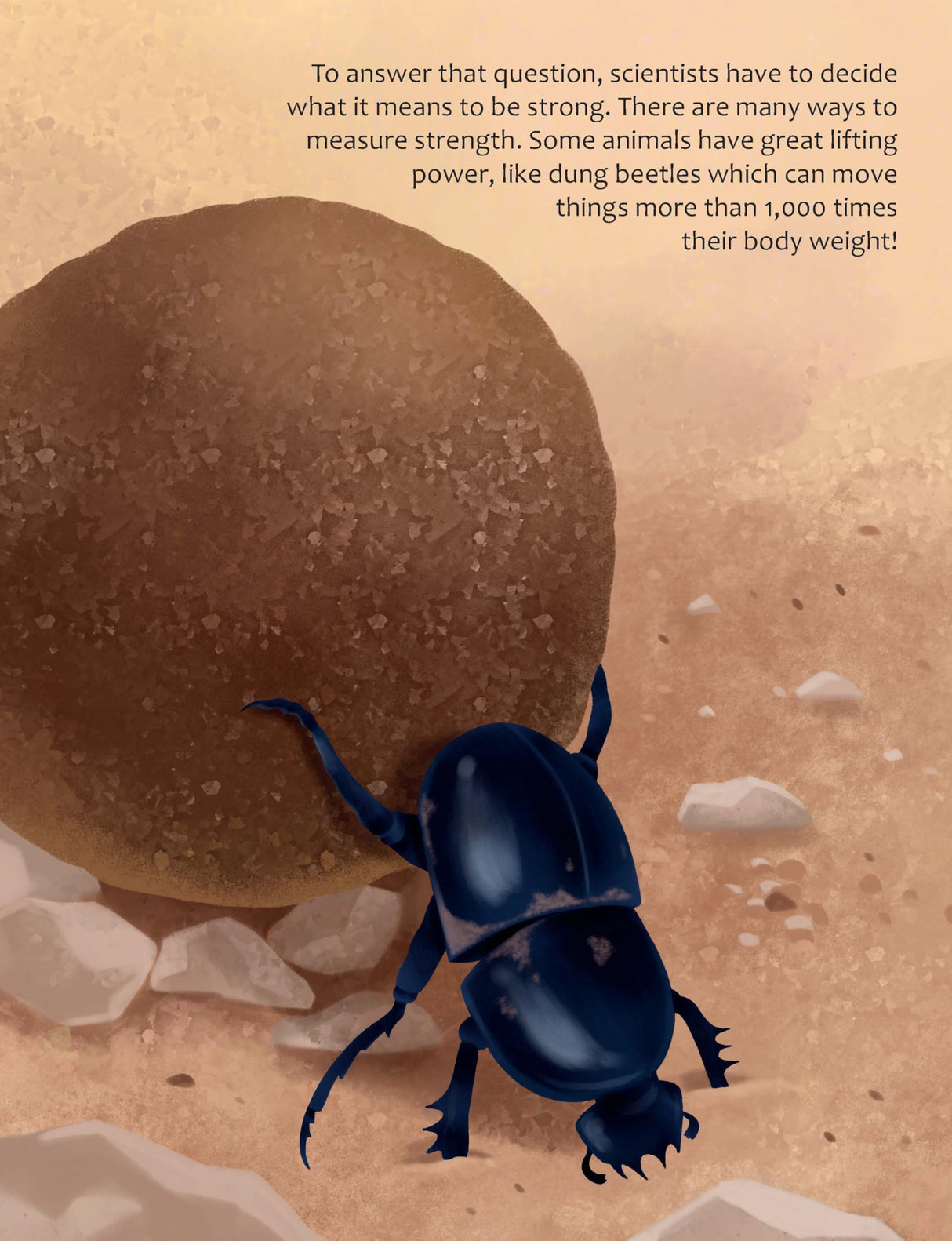 Big Questions Answered: Are Spider Webs Stronger Than Steel? Arachnology - Retail Maharaj