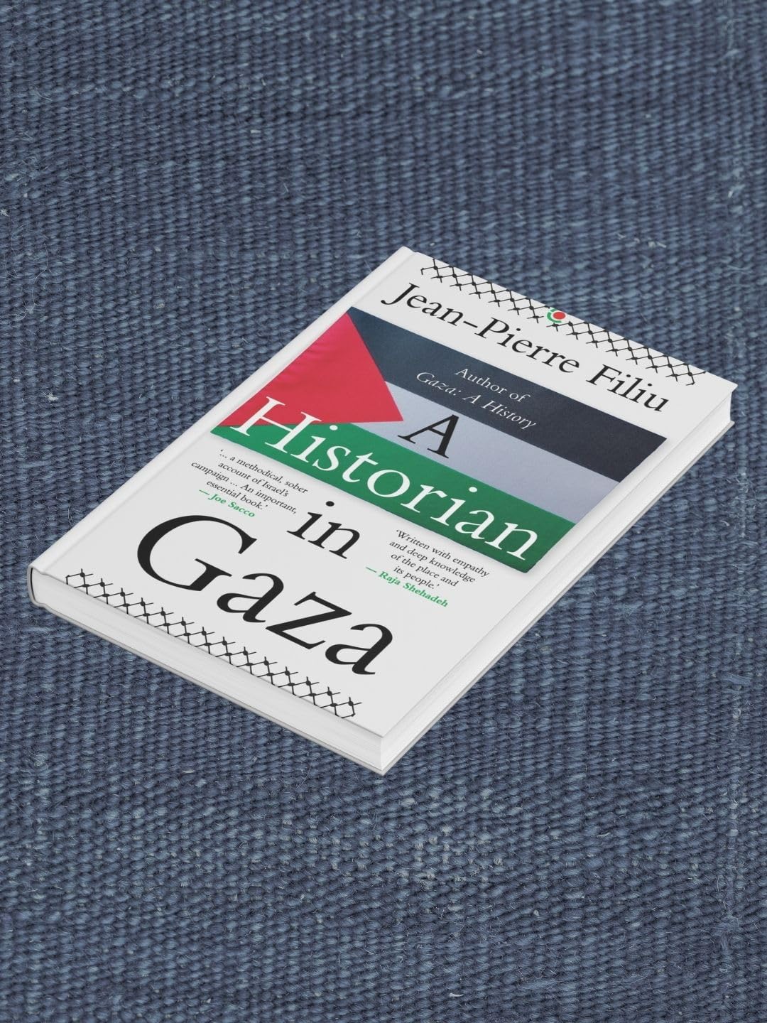 A Historian in Gaza - Retail Maharaj