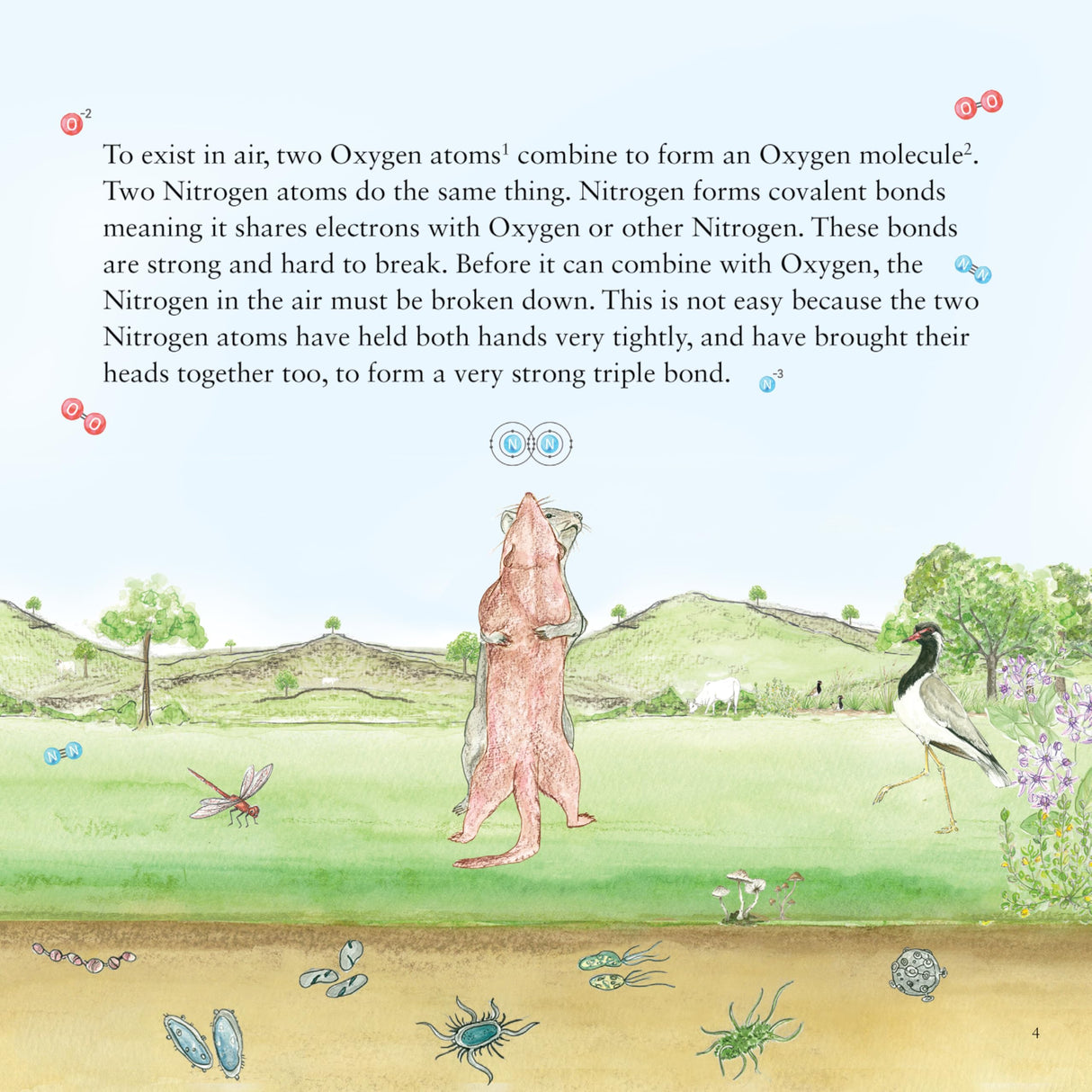 Why is Nitrogen Needed? - A Larks and Fables Story - Retail Maharaj