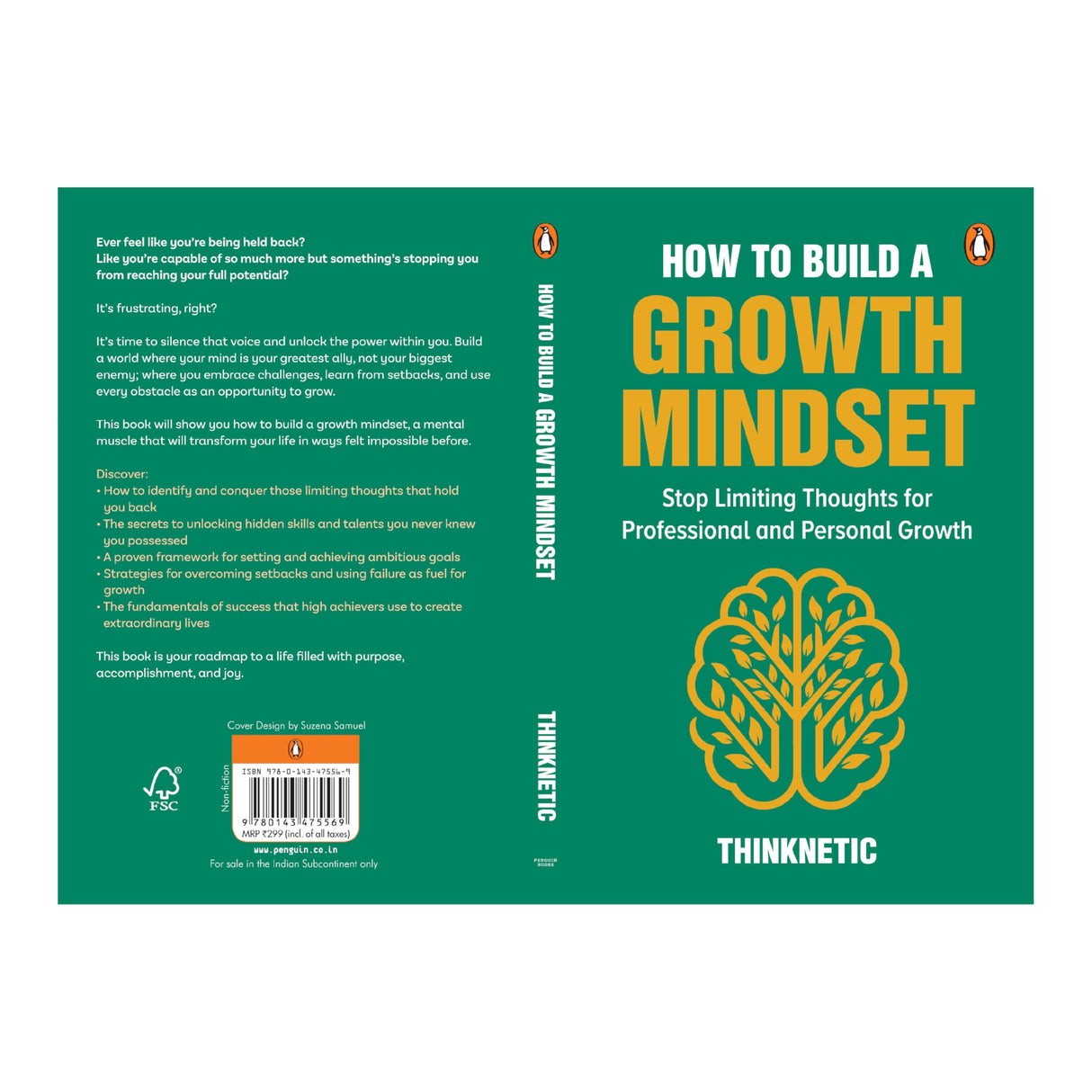 How To Build a Growth Mindset: Stop Limiting Thoughts for Professional and Personal Growth - Retail Maharaj