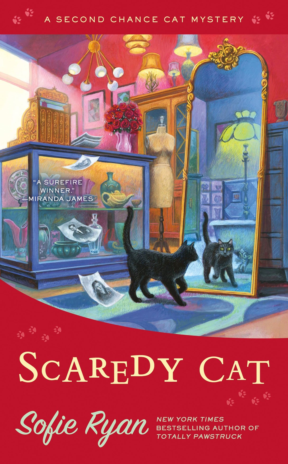 Scaredy Cat - Retail Maharaj