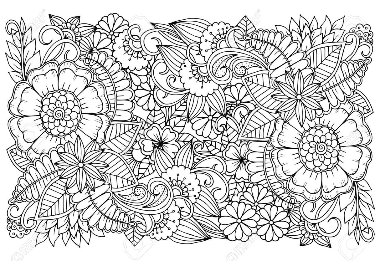 Flower Patterns Coloring Book for Adults - Retail Maharaj
